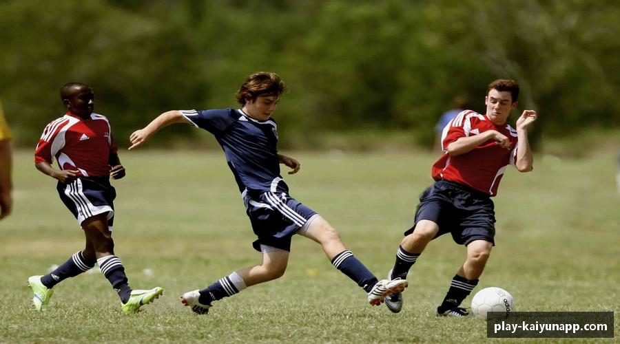 发现开云注册登录